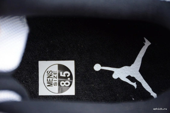 Rep EP Retro Low 528895-153  11 Jordan 528895-153 Concord 0123